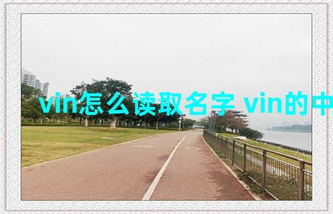 vin怎么读取名字 vin的中文名字